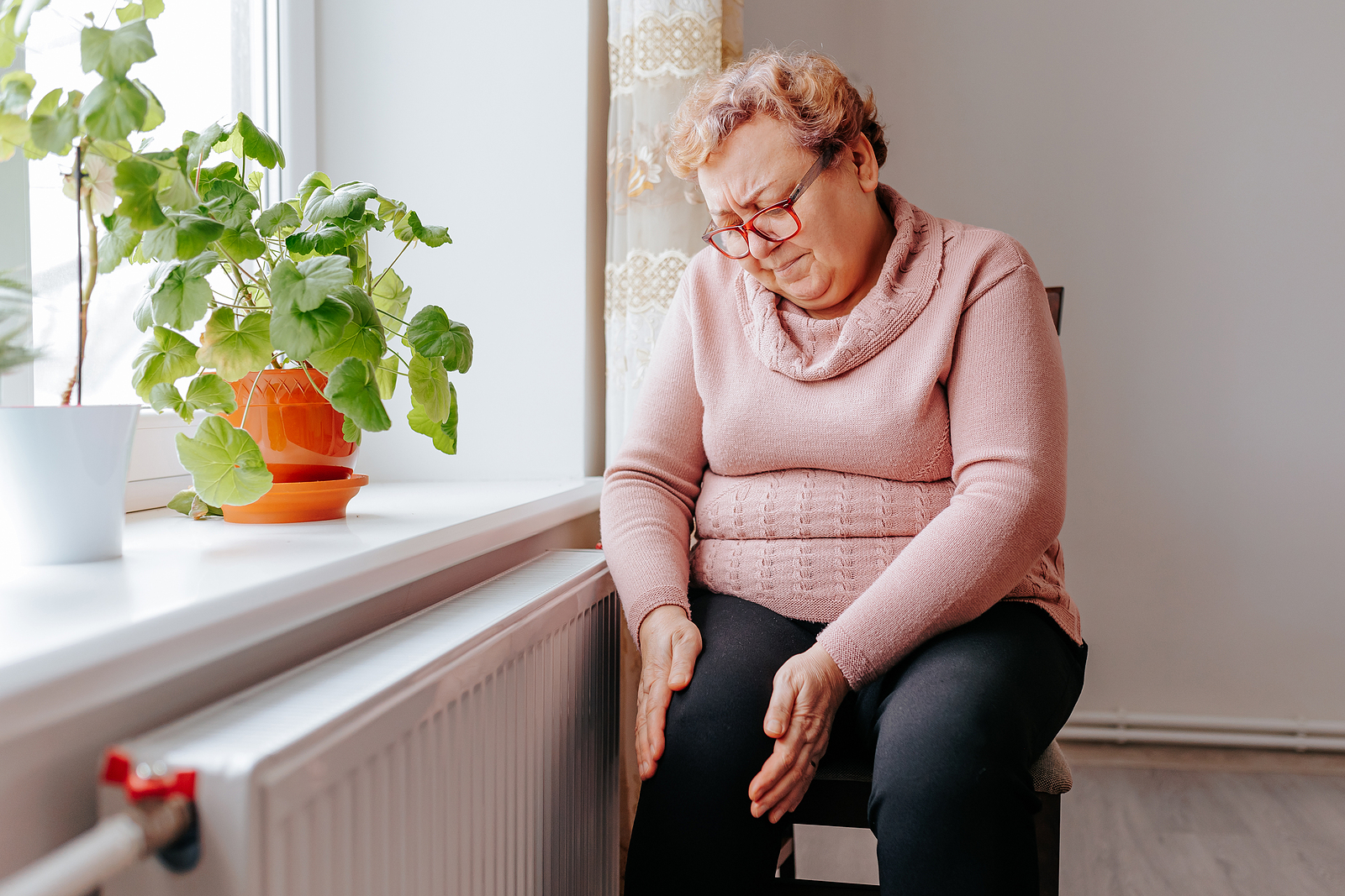 Senior Obesity: Senior Home Care Manhasset NY
